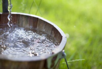 Подходит ли вода из колодца для питья, Подходит ли вода из колодца для питья